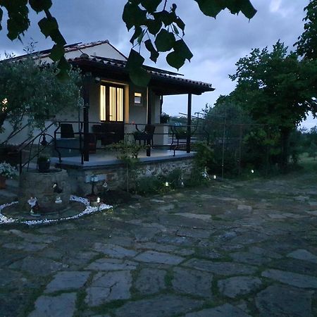 Apartma Vista Baredi Izola Buitenkant foto