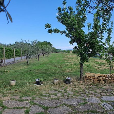 Apartma Vista Baredi Izola Buitenkant foto