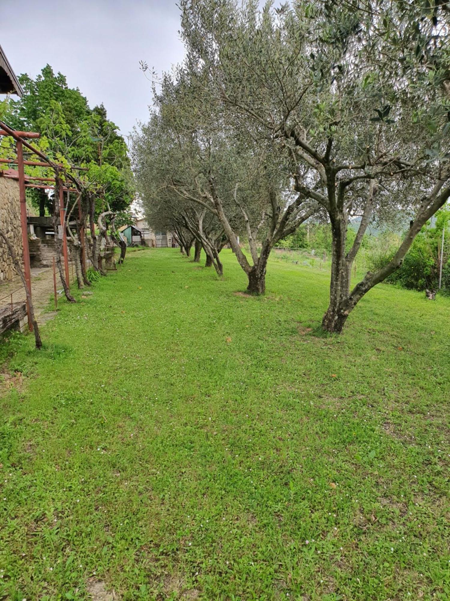 Apartma Vista Baredi Izola Buitenkant foto