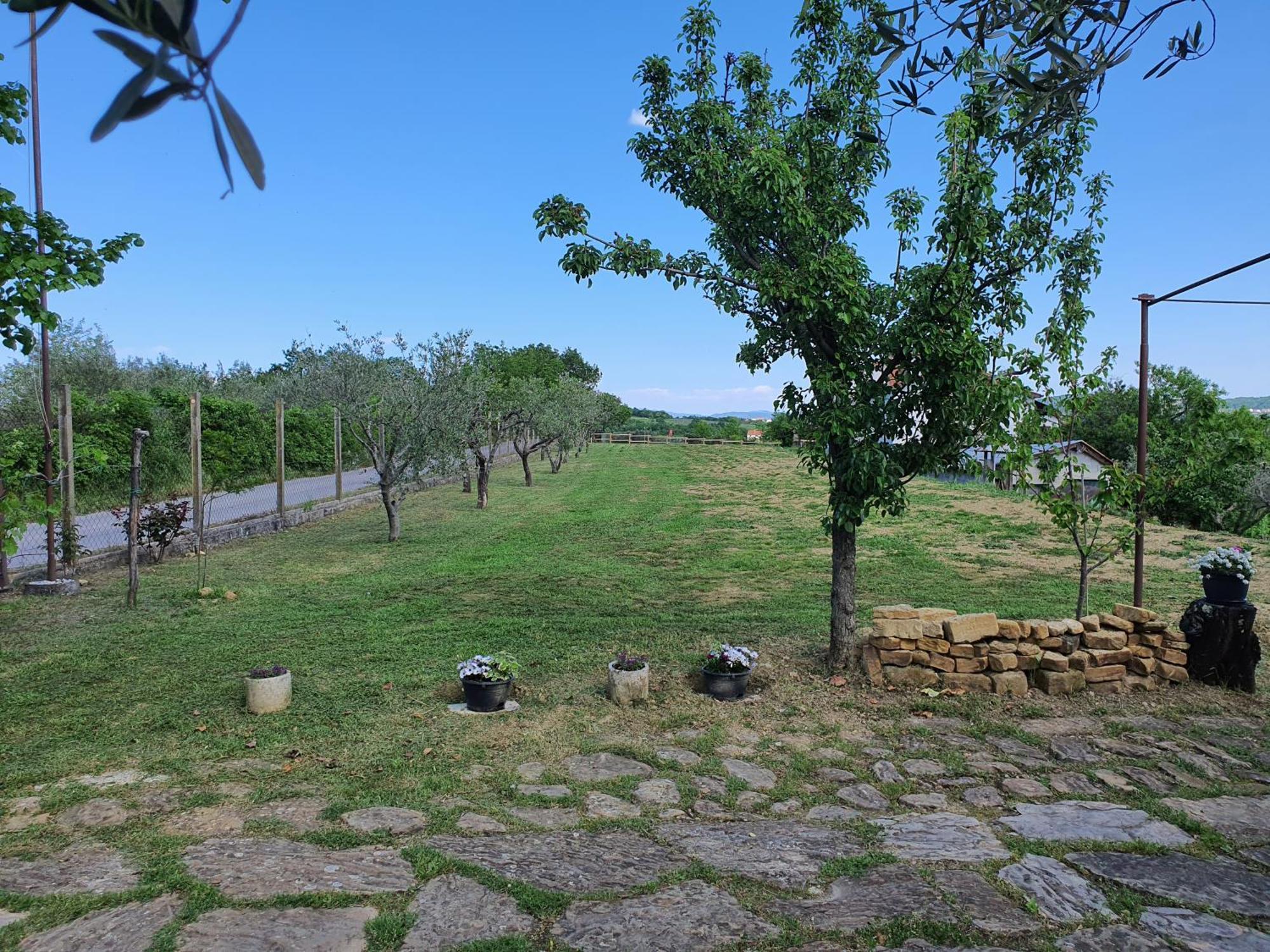 Apartma Vista Baredi Izola Buitenkant foto
